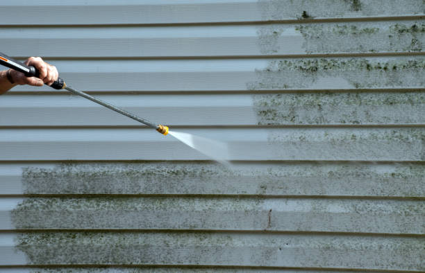 Best Fence Cleaning  in Los Luceros, NM